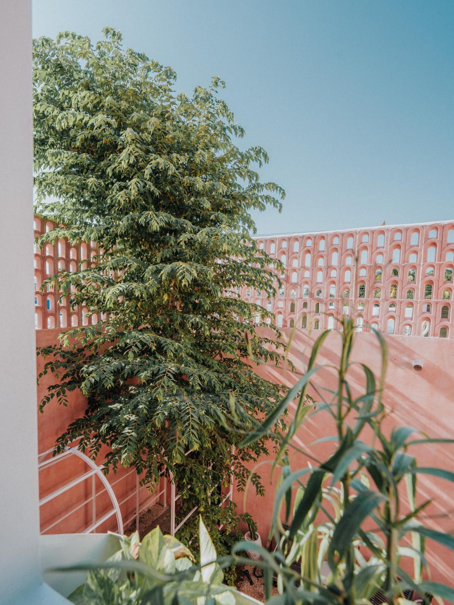 Casa Amate 61 Boutique Hostel ميريدا المظهر الخارجي الصورة